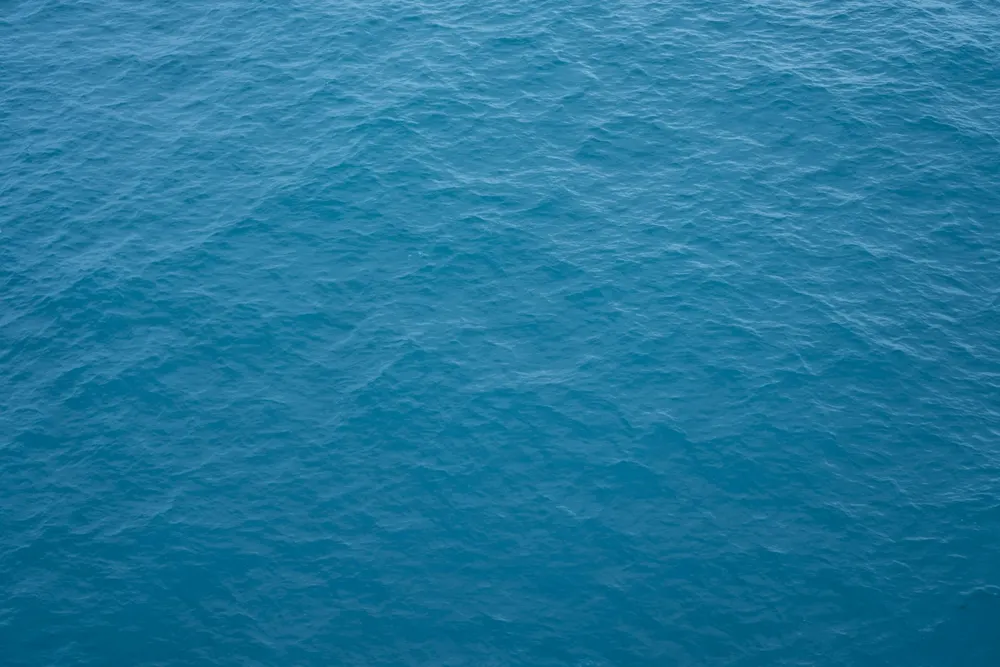 Textured seafloor-like surface seen from above