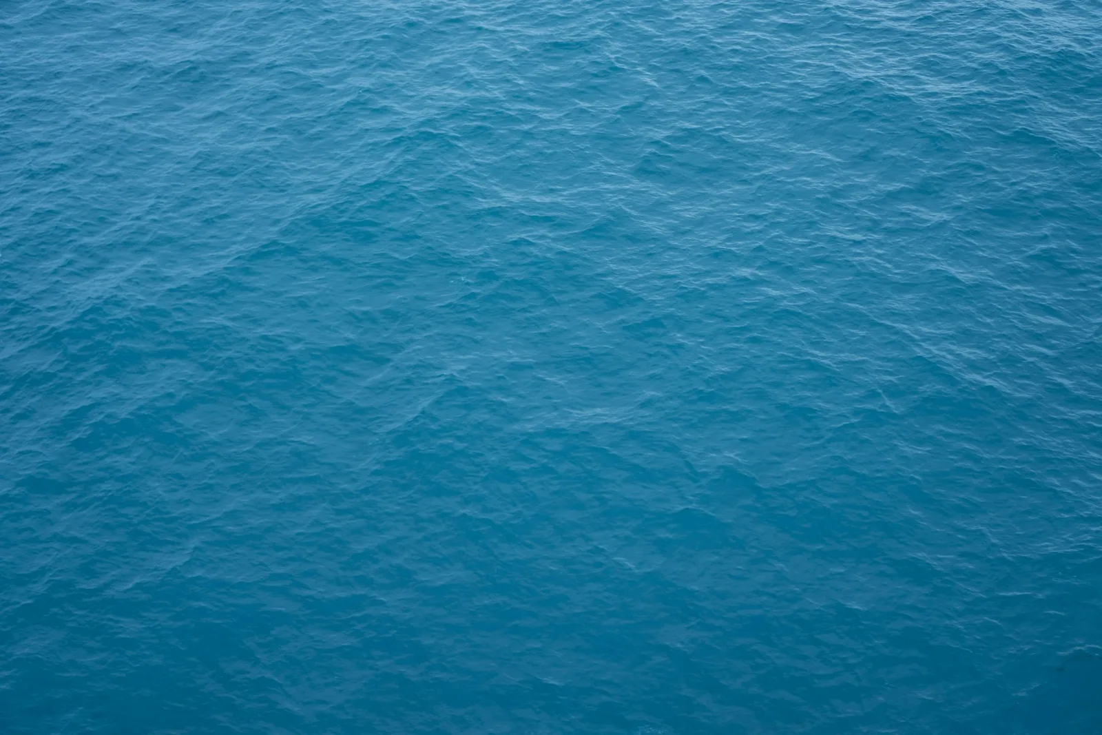 Textured seafloor-like surface seen from above