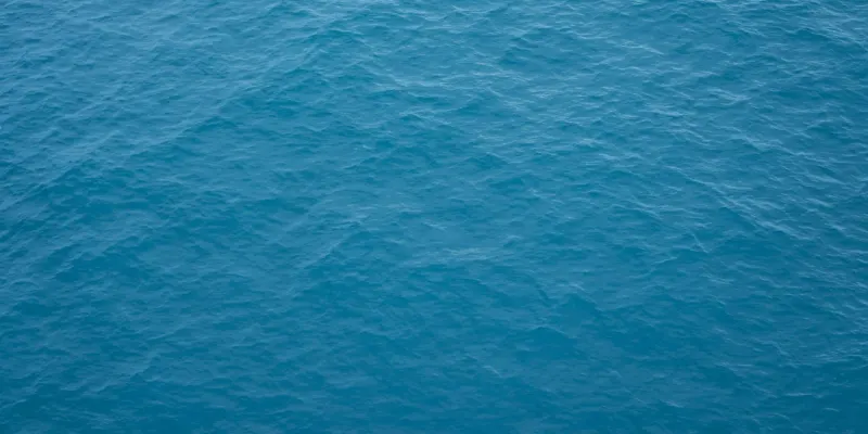 Textured seafloor-like surface seen from above