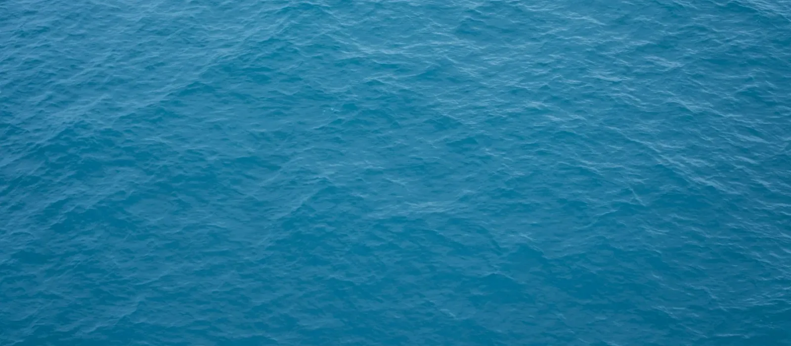 Textured seafloor-like surface seen from above